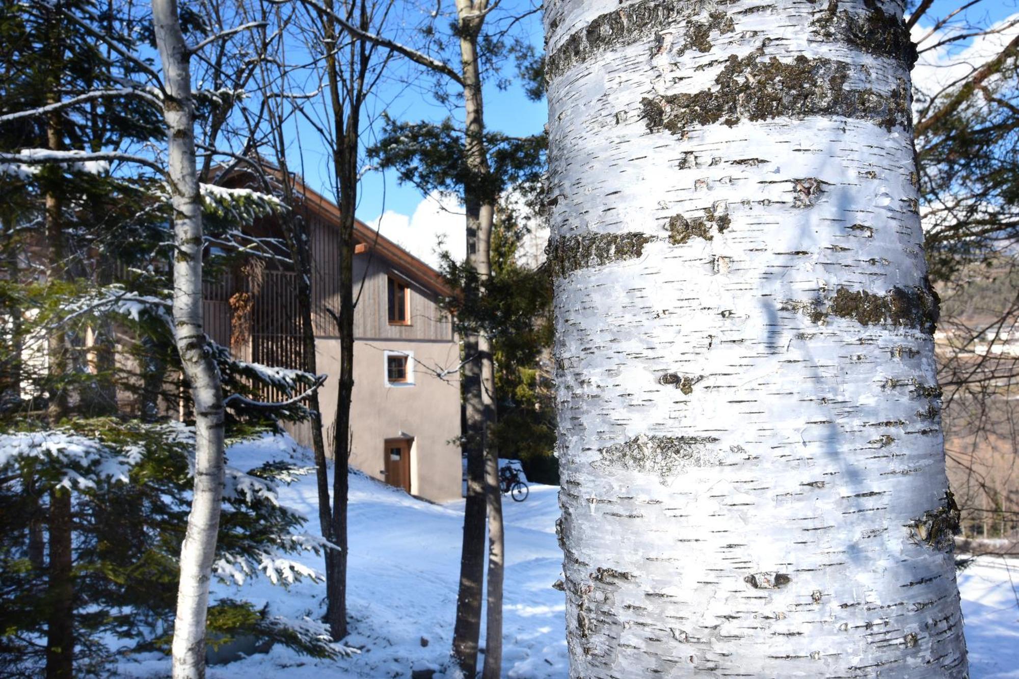 B&B Mas De Lagorae Tesero Bagian luar foto